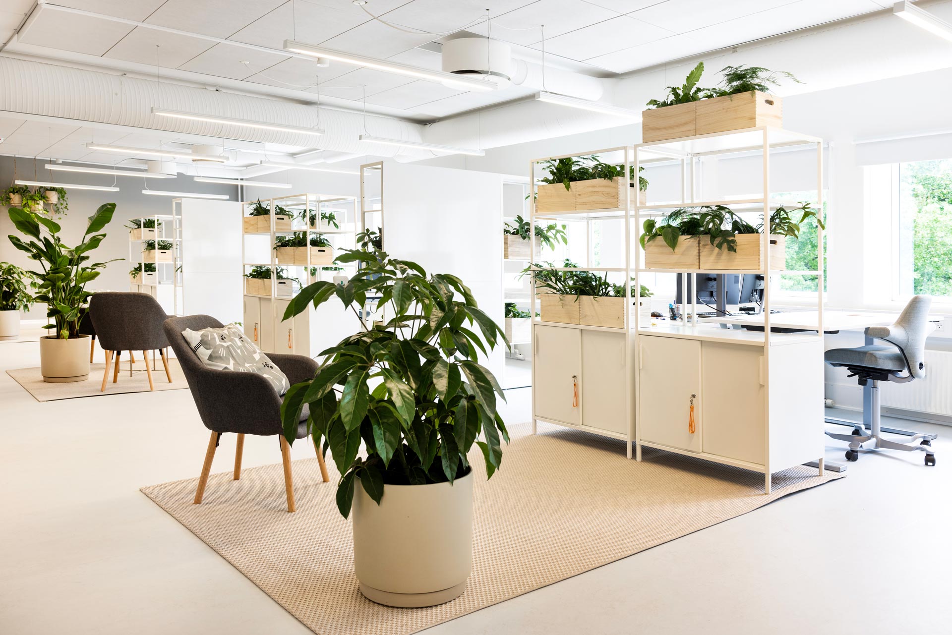 akustisk indretning af kontor
